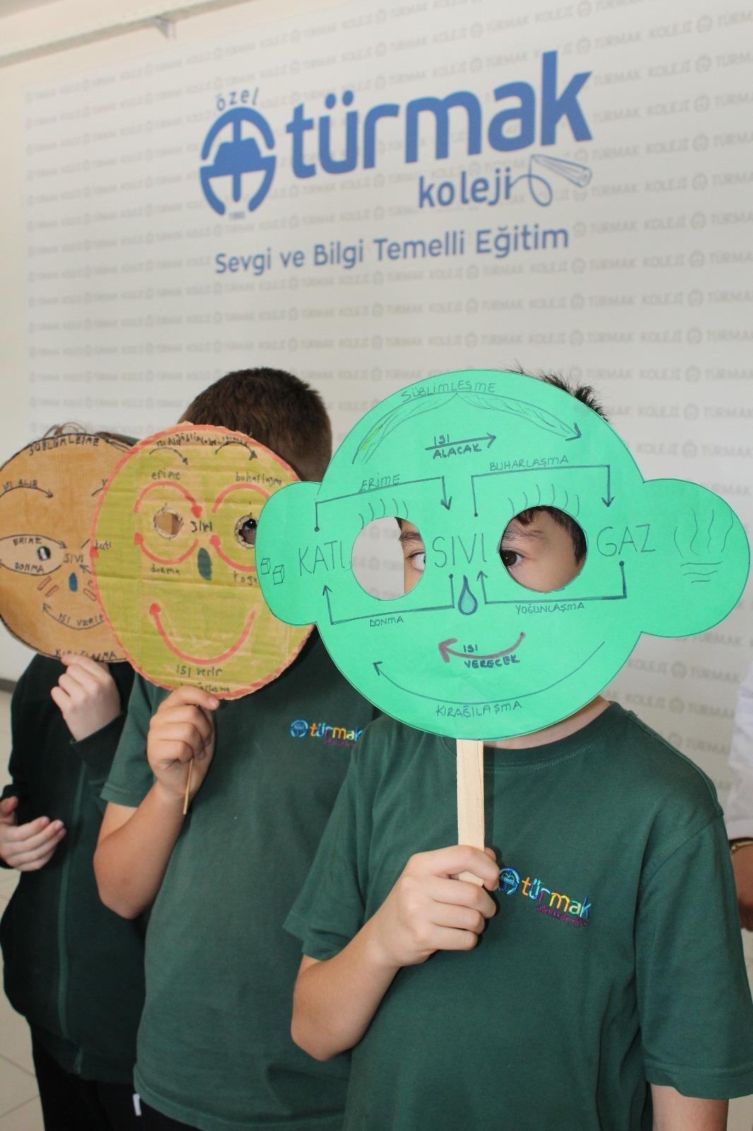 Owl Image